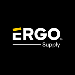 Ergo main logo